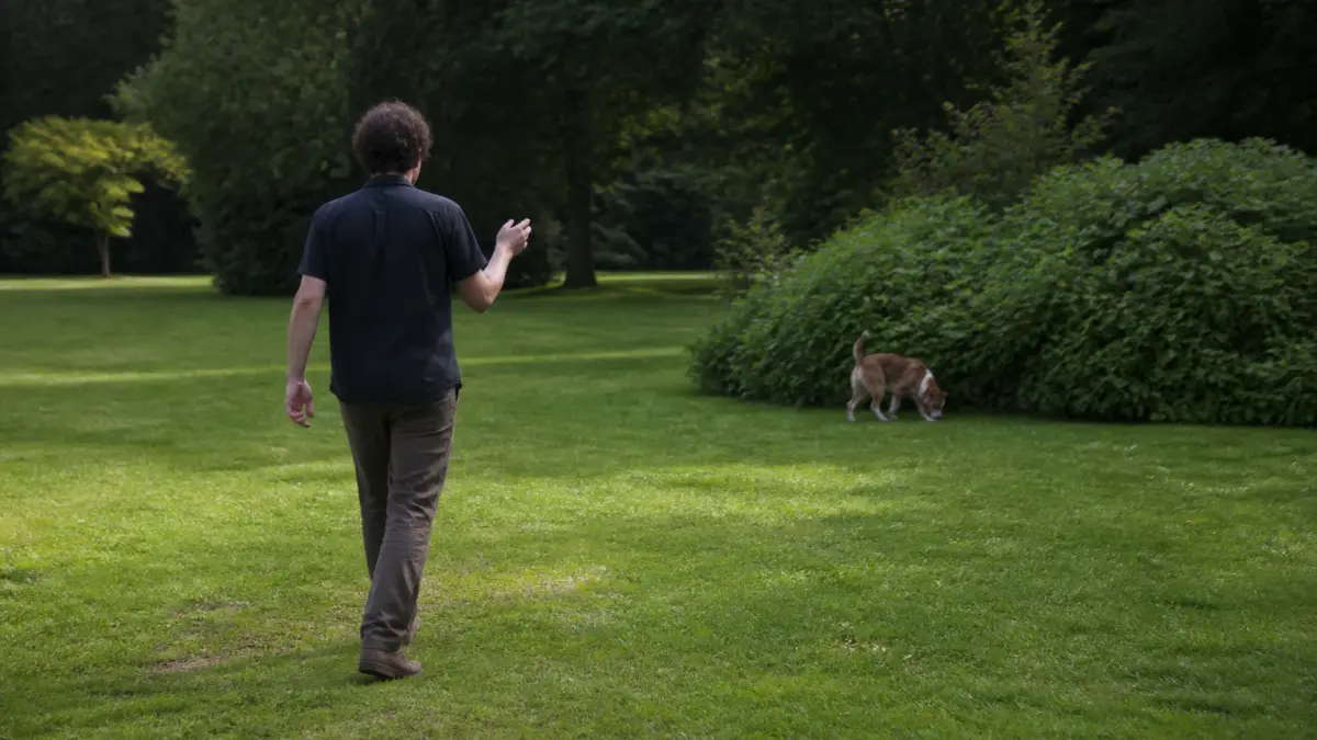 Rappel chien : les erreurs qui empêchent vraiment votre chien de revenir
