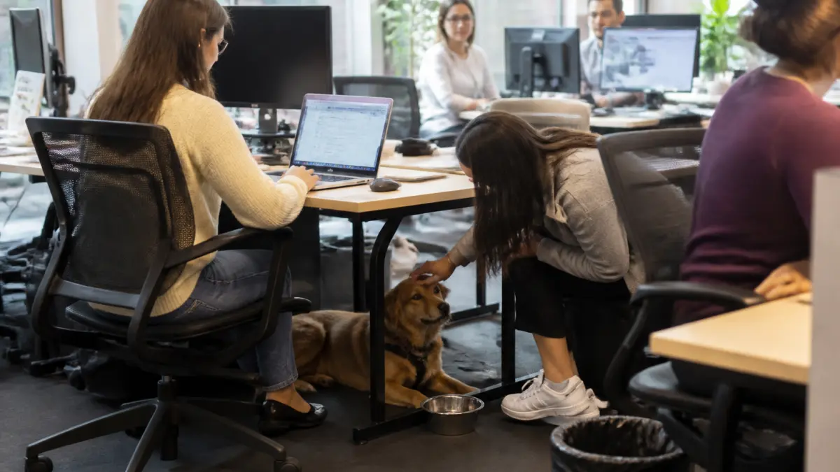 Chien au travail : bonne idée ou fausse bonne solution ?