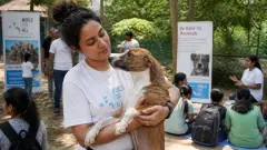 Journée mondiale des animaux : date, origine et idées d’actions utiles