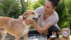 Avec quoi laver son chien naturellement sans abîmer sa peau ?