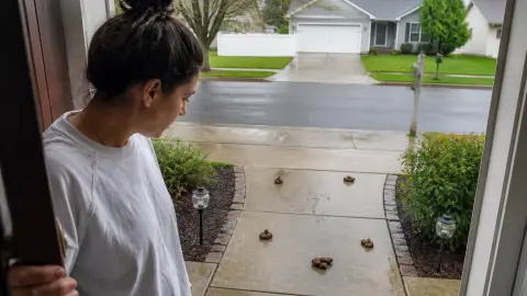Crottes de chien devant chez moi : que faire légalement et concrètement ?