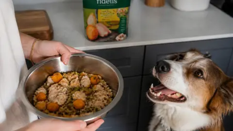 Repas frais pour chien : Fidelis testé et approuvé
