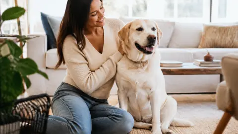 Chien gentil avec les enfants : comment choisir sans se tromper ?