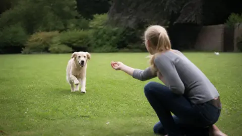 Apprendre le rappel à son chien : exercices progressifs et erreurs à éviter