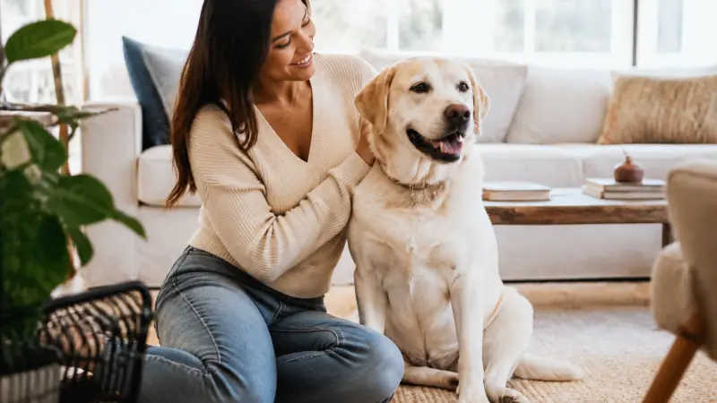 Chien gentil avec les enfants : comment choisir sans se tromper ?